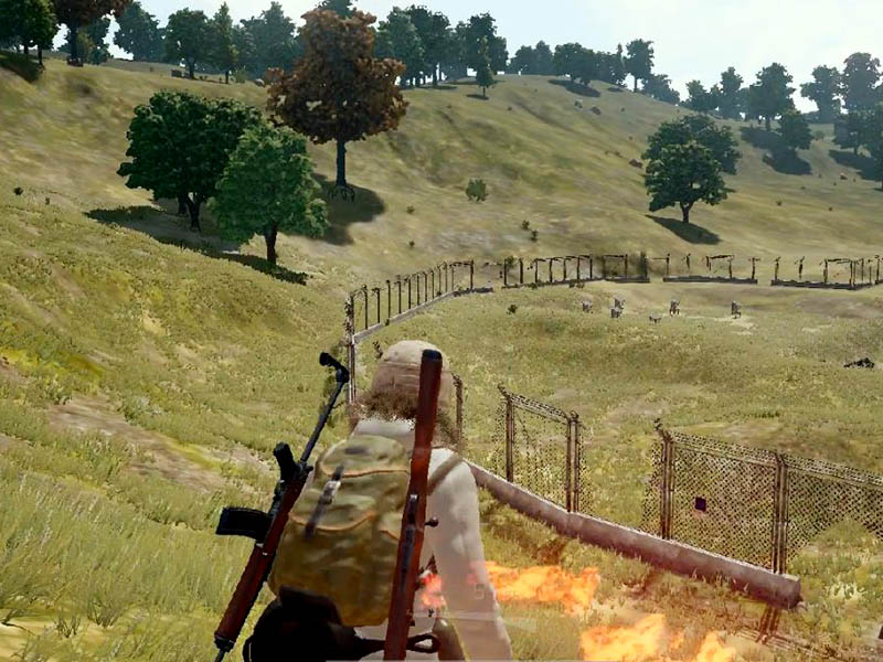 絕地求生能共享嗎？