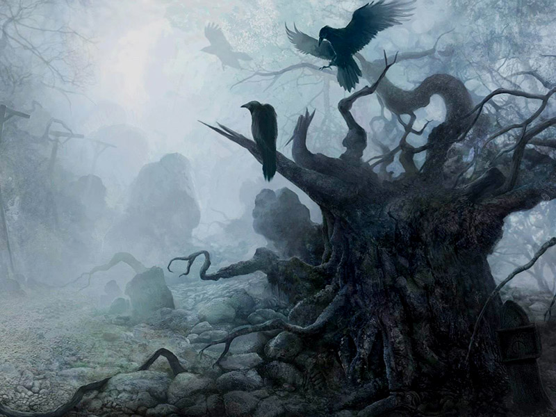 絕地求生什么加速器免費？告別卡頓延遲，暢快玩游戲！